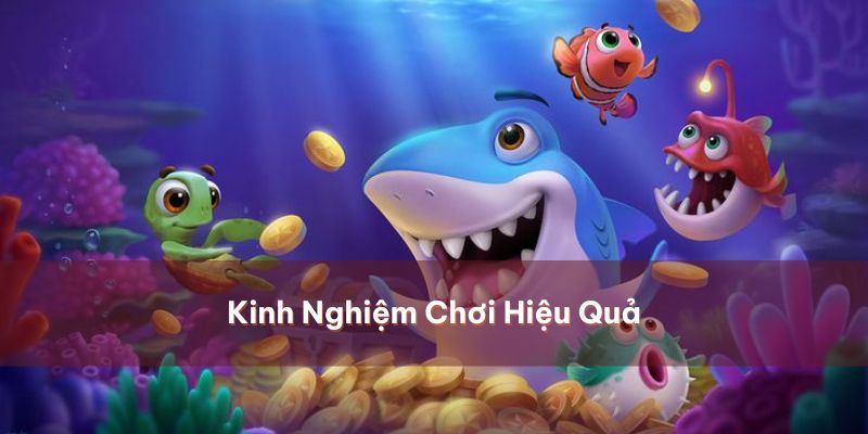 Các chiến thuật hay chinh phục bắn cá Hải Vương