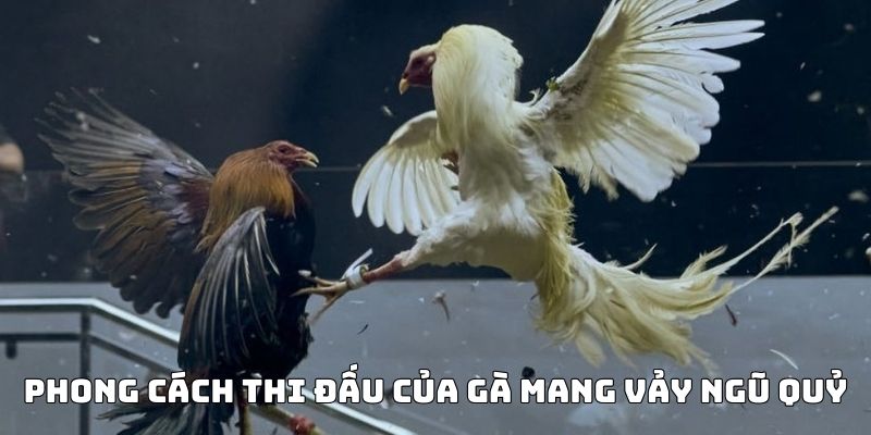 Vảy gà ngũ quỷ và phong cách thi đấu thường thấy