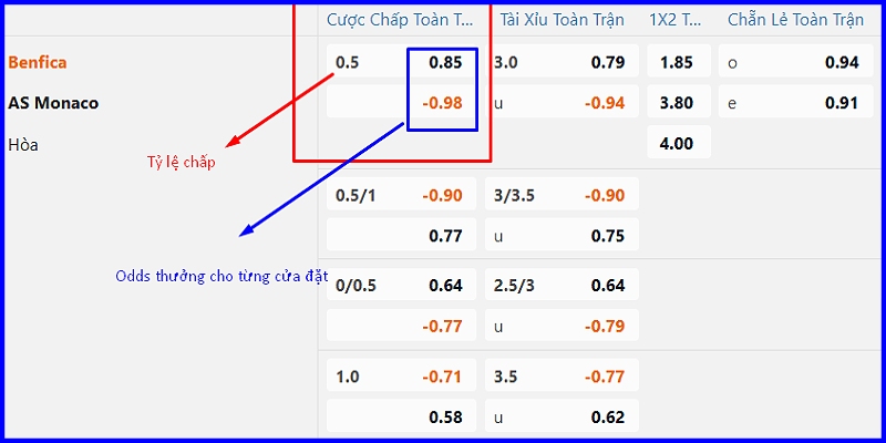 Bảng kèo Handicap trận đấu giữa Benfica vs As Monaco
